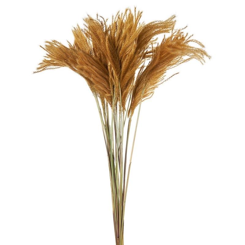 ΑΠΟΞΗΡΑΜΕΝΗ MELIC GRASS ΡΤ161