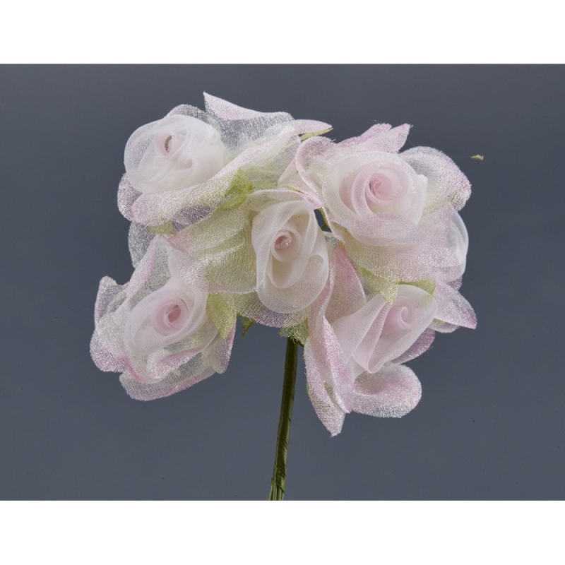 ΛΟΥΛΟΥΔΙ RA935