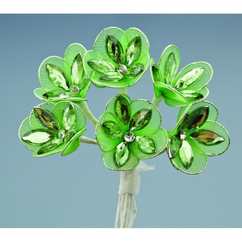 ΛΟΥΛΟΥΔΙ JX06