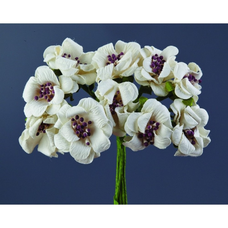 ΛΟΥΛΟΥΔΙ KWP25113