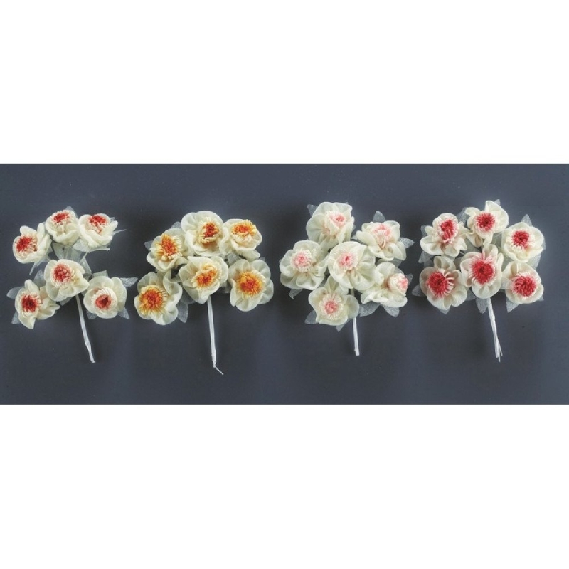 ΛΟΥΛΟΥΔΙ RF258