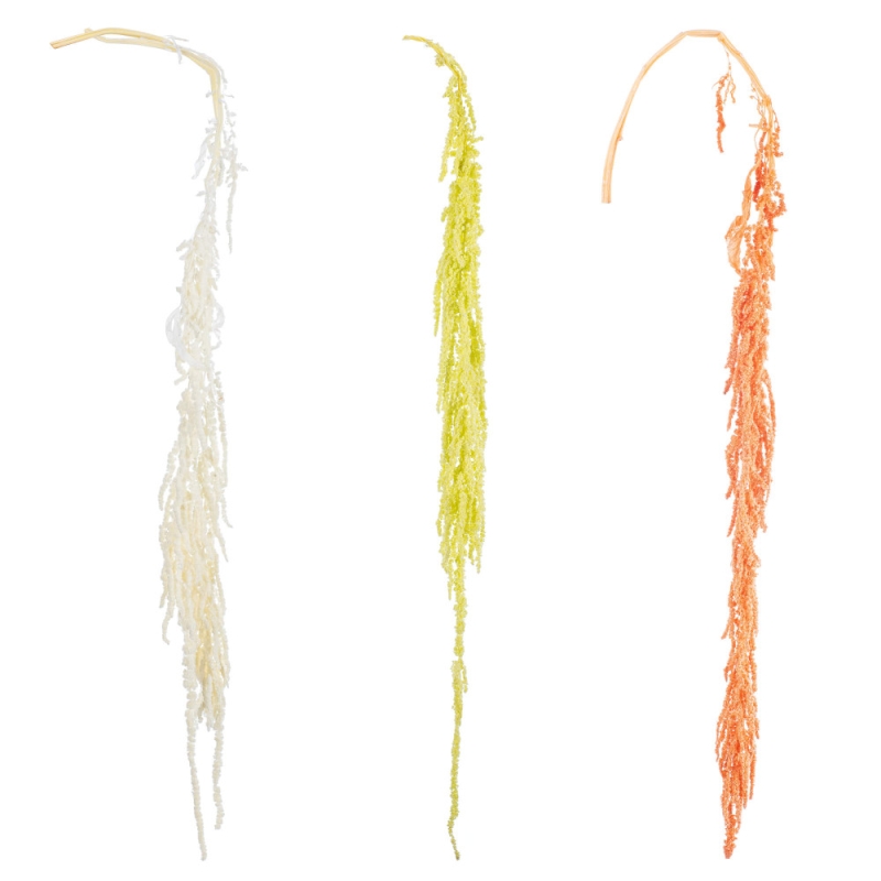 Αποξηραμένο HANGING RICE ΡΤ193