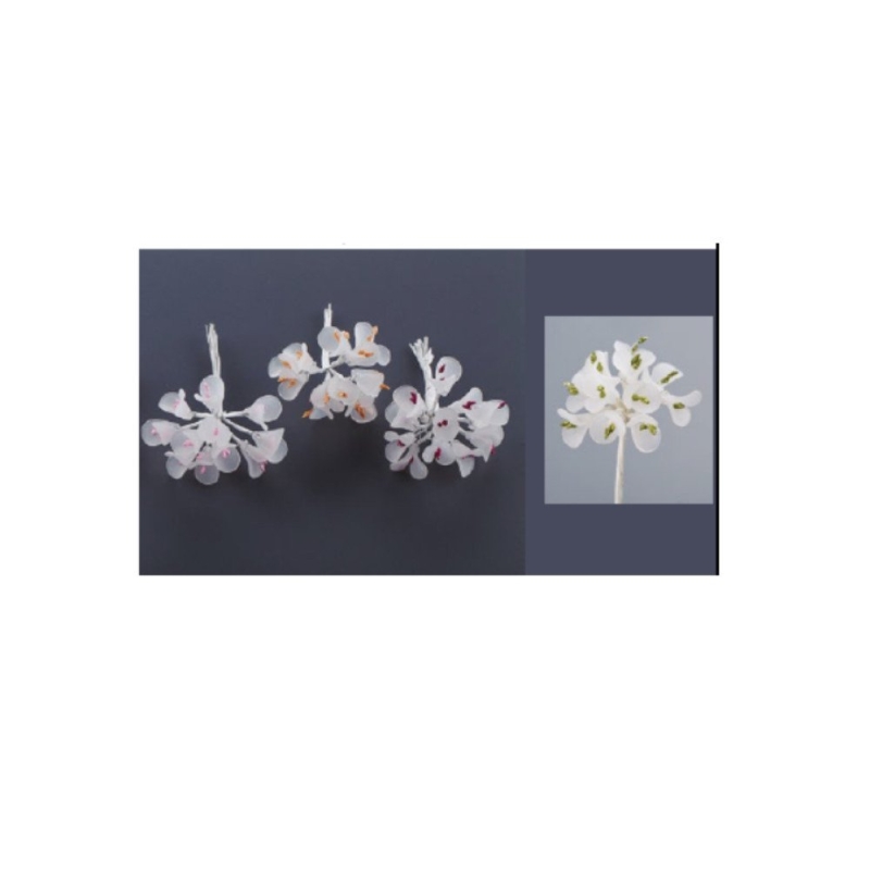 ΛΟΥΛΟΥΔΙ KSA38