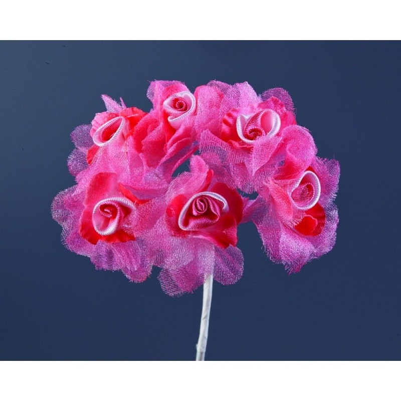 ΛΟΥΛΟΥΔΙ RSA176