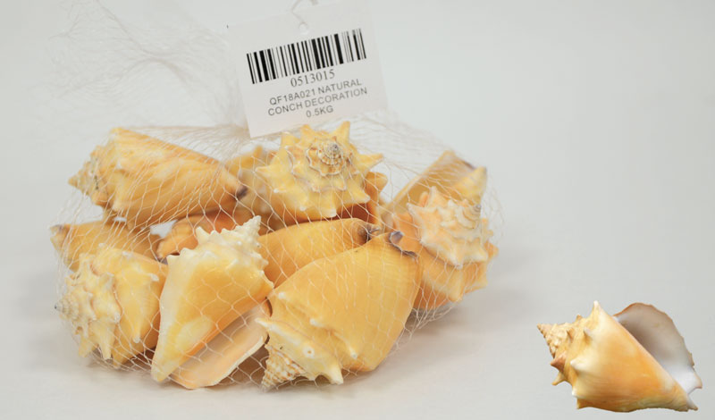 ΔΙΑΚΟΣΜΗΤΙΚΑ ΚΟΧΥΛΙΑ Νο15 QF18A021 0.5kg 0513015