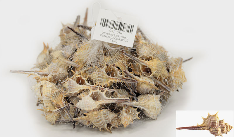 ΔΙΑΚΟΣΜΗΤΙΚΑ ΚΟΧΥΛΙΑ Νο16 QF18A022 0.5kg 0513016