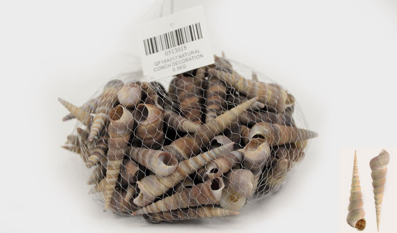 ΔΙΑΚΟΣΜΗΤΙΚΑ ΚΟΧΥΛΙΑ Νο18 QF18A017 0.5kg 0513018