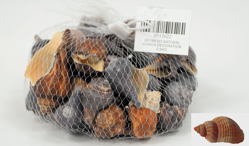 ΔΙΑΚΟΣΜΗΤΙΚΑ ΚΟΧΥΛΙΑ Νο22 QF18A101 0.5kg 0513022