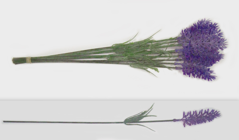 ΛΕΒΑΝΤΑ 32cm x 3cm 12ΤΕΜ/ΜΑΤΣΟ 0516013