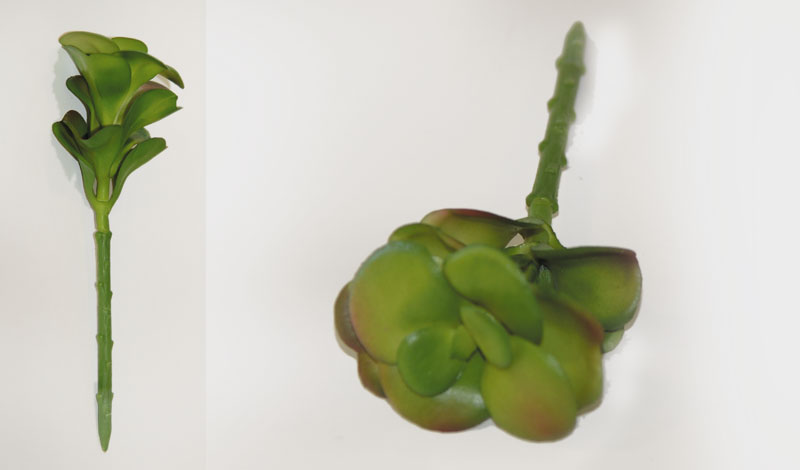 ΠΑΧΥΦΥΤΟ ΚΛΑΔΙ 0516054