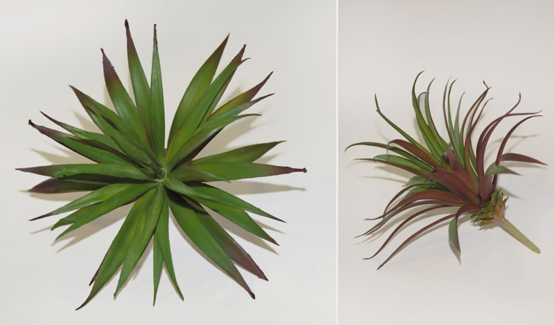 ΠΑΧΥΦΥΤΟ ΑΓΚΑΘΩΤΑ ΦΥΛΛΑ 0516055