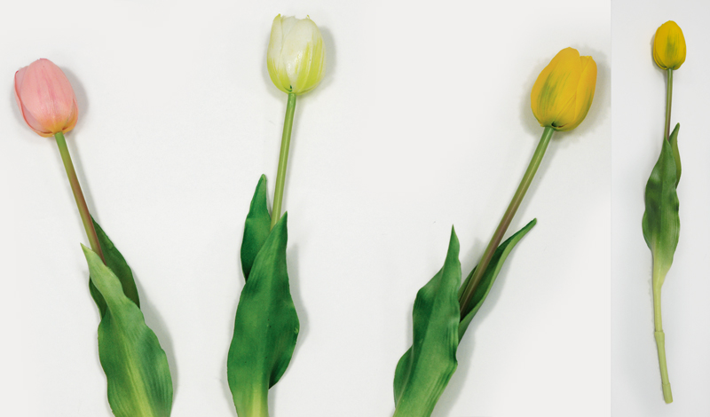 ΤΟΥΛΙΠΑ 40cm 0516109