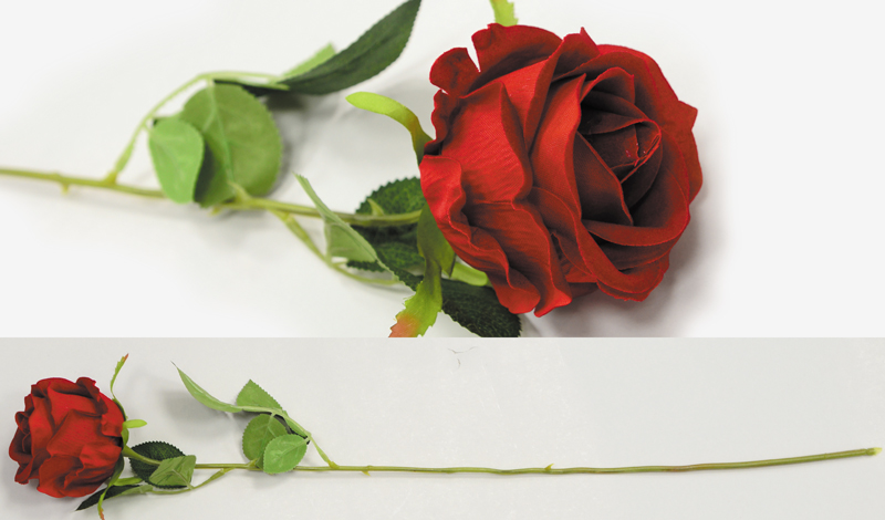 ΤΡΙΑΝΤΑΦΥΛΛΟ 55cm x 8cm 0516124