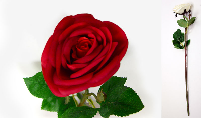 ΤΡΙΑΝΤΑΦΥΛΛΟ ME ΠΡΑΓΜΑΤΙΚΗ ΥΦΗ 0516125