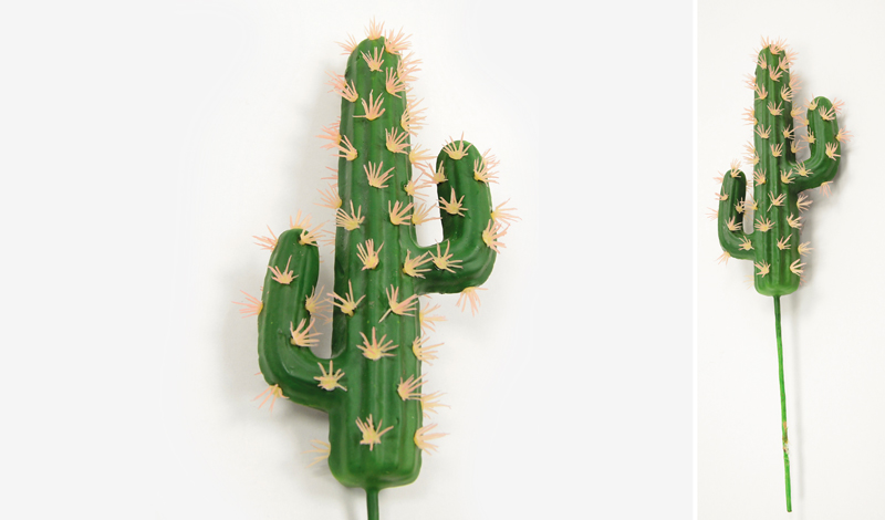 ΚΑΚΤΟΣ 20cm 0516131