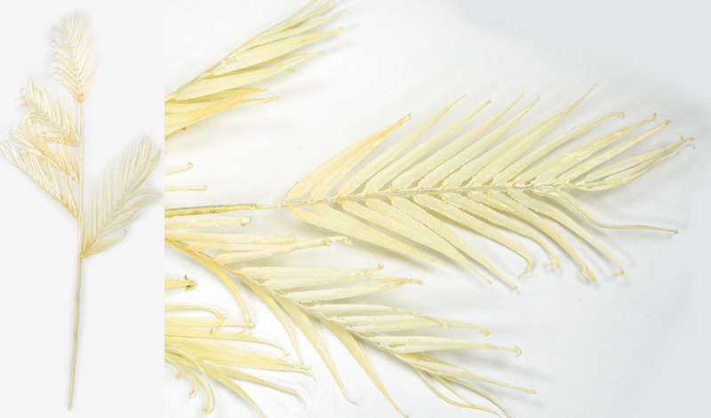 ΚΛΑΔΙ ΦΟΙΝΙΚΑ ΕΚΡΟΥ 35cm x 90cm 0516135