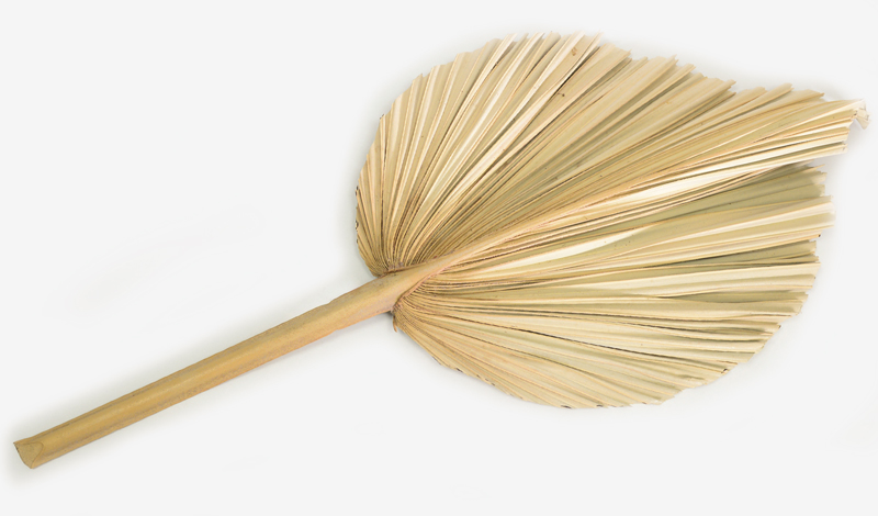 ΑΠΟΞΗΡΑΜΕΝΟ ΦΥΛΛΟ ΦΟΙΝΙΚΑ ΠΛΑΤΥ ΜΕΓΑΛΟ 34cm x 68cm 0516136