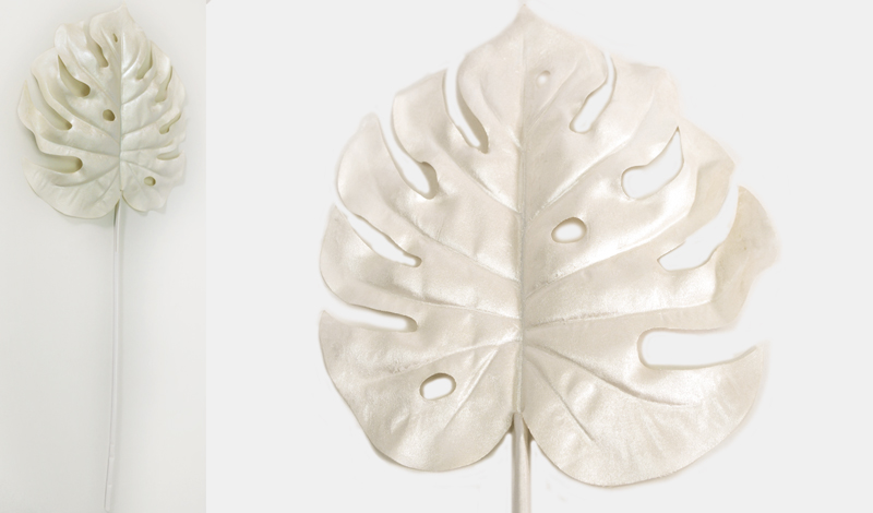 ΜΟΝΣΤΕΡΑ ΛΕΥΚΗ 60cm x 14cm 0516139