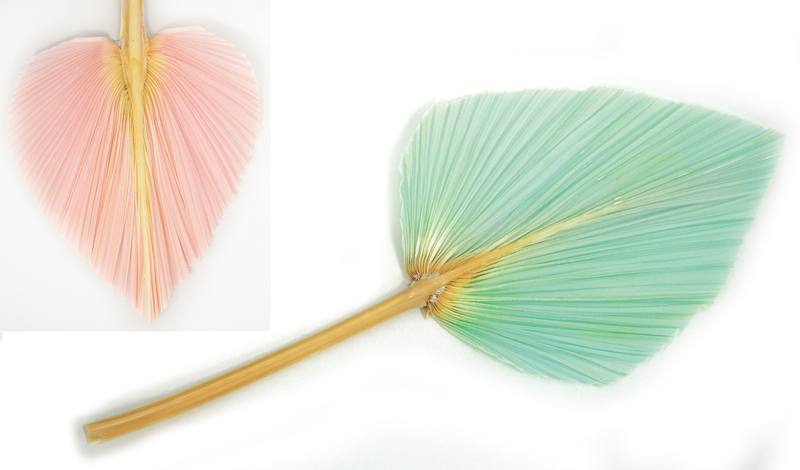 ΑΠΟΞΗΡΑΜΕΝΟ ΦΥΛΛΟ ΠΑΛΜΑ ΜΕ ΧΡΩΜΑ 25cm 0516150