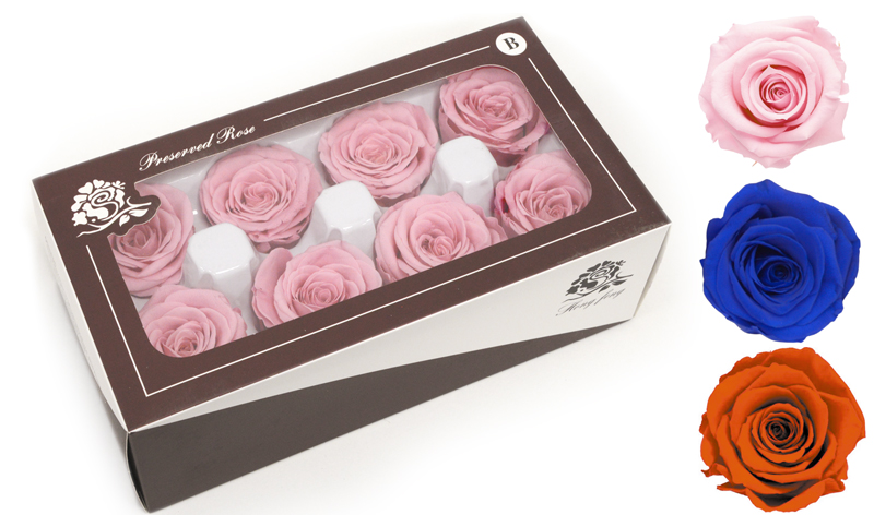 ΒΑΛΣΑΜΩΜΕΝΟ ΤΡΙΑΝΤΑΦΥΛΛΟ 5cm ΣΕ ΚΟΥΤΙ 8ΤΕΜ. 0516178