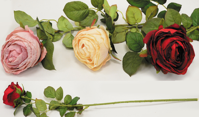 ΤΡΙΑΝΤΑΦΥΛΛΟ ΜΟΝΟ 0516187