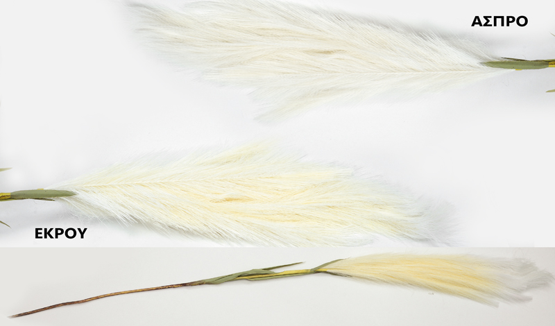 ΚΛΑΔΙ ΤΥΠΟΥ PAMPAS 120cm 0516190