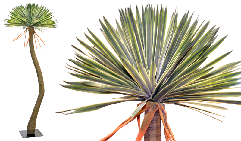 ΑΓΑΥΗ ME ΠΡΑΓΜΑΤΙΚΗ ΥΦΗ ΨΗΛΗ ΜΕ ΒΑΣΗ 275cm 0516205