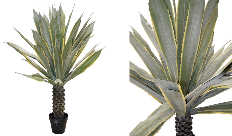 ΑΓΑΥΗ ME ΠΡΑΓΜΑΤΙΚΗ ΥΦΗ ΜΕ ΚΟΡΜΟ ΣΕ ΓΛΑΣΤΡΑ 180cm 0516206