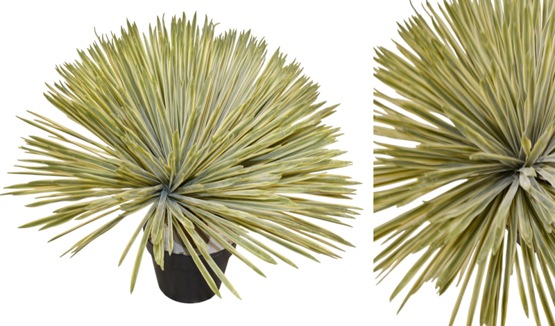 ΓΙΟΥΚΑ ME ΠΡΑΓΜΑΤΙΚΗ ΥΦΗ ΜΕ ΓΛΑΣΤΡΑ 58cm 0516207