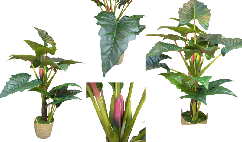 ΑΛΟΚΑΣΙΑ ME ΠΡΑΓΜΑΤΙΚΗ ΥΦΗ ΧΩΡΙΣ ΓΛΑΣΤΡΑ 155cm 0516211