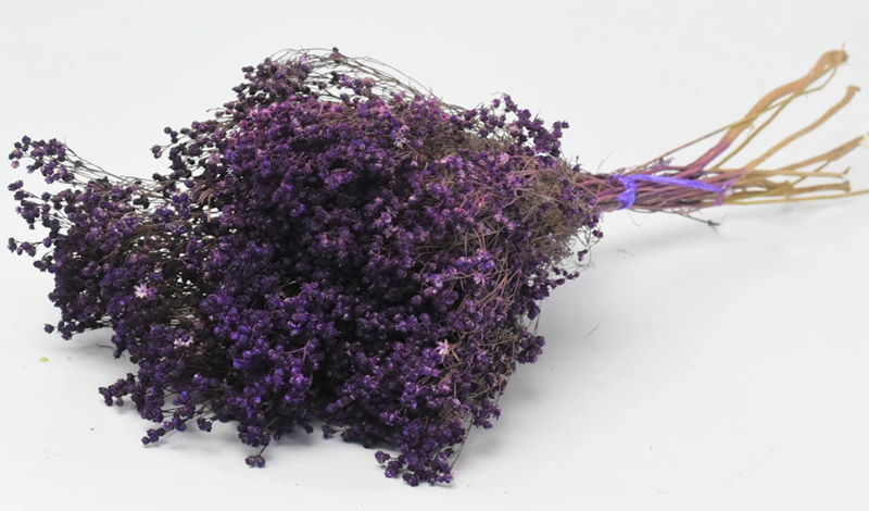 BROOM BLOOM ΜΩΒ 50cm 0924008