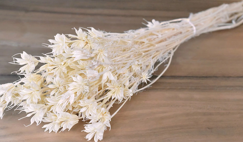 NIGELLA ORIENTALIS ΛΕΥΚΑΜΕΝΟ 100gr 0960530