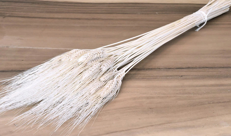 WHEAT BEARDED ΛΕΥΚΑΜΕΝΟ 150gr 90cm 0977630