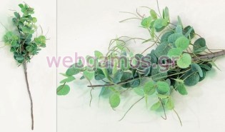 Κλαδί Ευκάλυπτος μεγάλο (0516040)