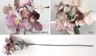 Ελλέβορος μπουκέτο (0516094)