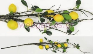 Κλαδί με λεμόνια (0516111)