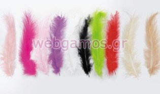 Πούπουλο Μεγάλο (0517493)