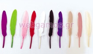 Πούπουλο φτερό μακρόστενο 13.5 εκ (0517495)