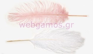 Φτερό γίγας 35 - 40 εκ (0517897)