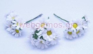 Λουλούδι Μαργαρίτα (0520086)