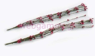 Κλαδί με κόκκινα σποράκια (0520088)