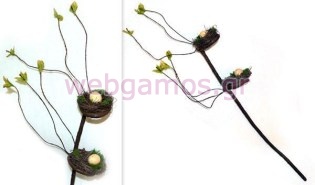 Κλαδί με 2 φωλιές (0520106)