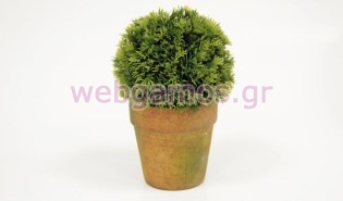 Γλαστράκι μπάλα (0532018)