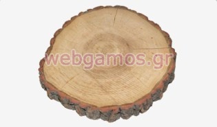 Κορμός Δέντρου παχύς (0619034)