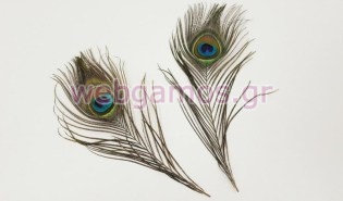 Φτερά παγωνιού (0621092)