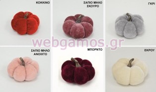 ΒΕΛΟΥΔΙΝΗ ΚΟΛΟΚΥΘΑ ΜΙΚΡΗ 7.5 ΕΚ (0621324)