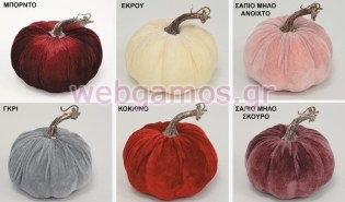 ΒΕΛΟΥΔΙΝΗ ΚΟΛΟΚΥΘΑ ΜΕΣΑΙΑ 12 ΕΚ (0621325)