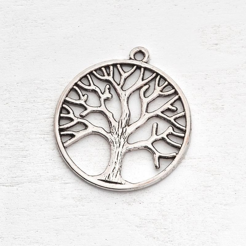 10023_19048-a.jpg