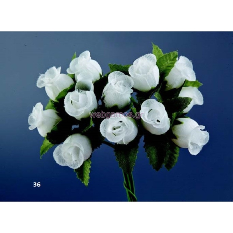 10221712732641-otherimage-550x550