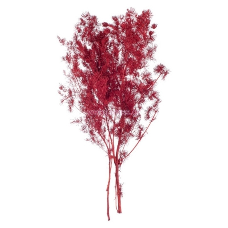 17631026356916cfabc7705